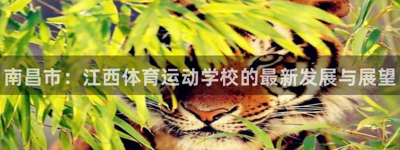 注册米兰体育官方正版app:南昌市:江西体育运动学校的最新发
