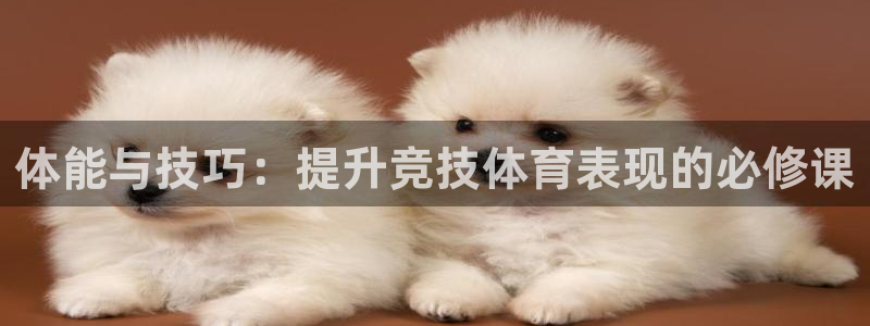 米兰体育官网下载平台是正规平台吗安全吗:体能与技巧:提升竞技